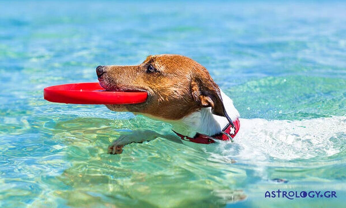 Διάβασε ΔΩΡΕΑΝ την προσωπική σου πρόβλεψη, για σήμερα 18/07/2020