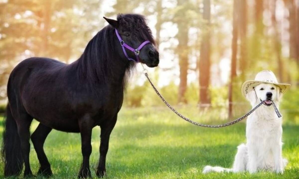 Σήμερα 28/07: Κράτα τον έλεγχο