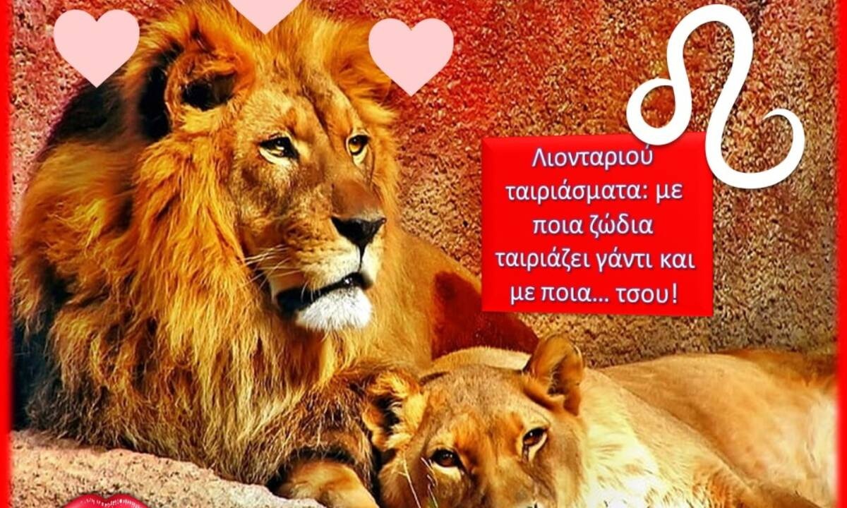 Με ποιους ταιριάζει το Λιοντάρι και σε ποιους λέει bye bye;