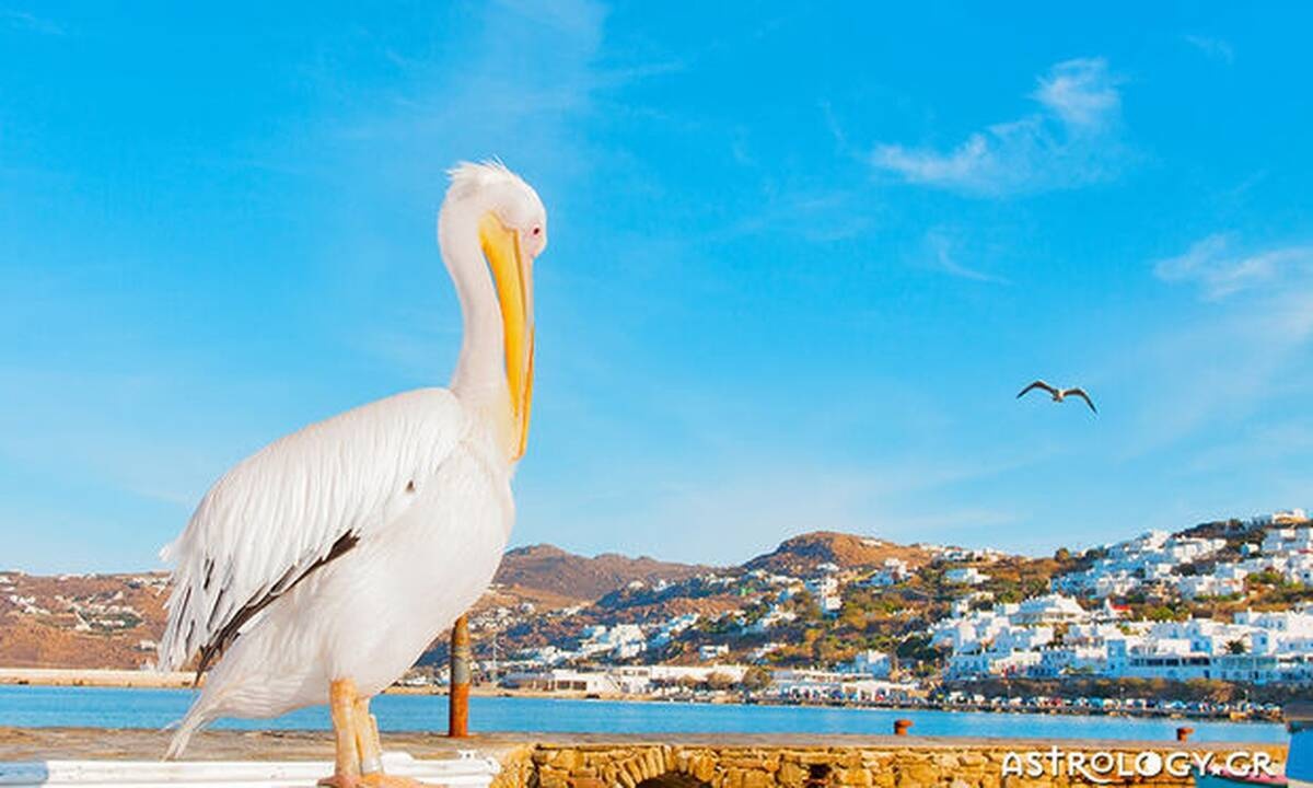 Διάβασε ΔΩΡΕΑΝ την προσωπική σου πρόβλεψη, για σήμερα 08/08/2020