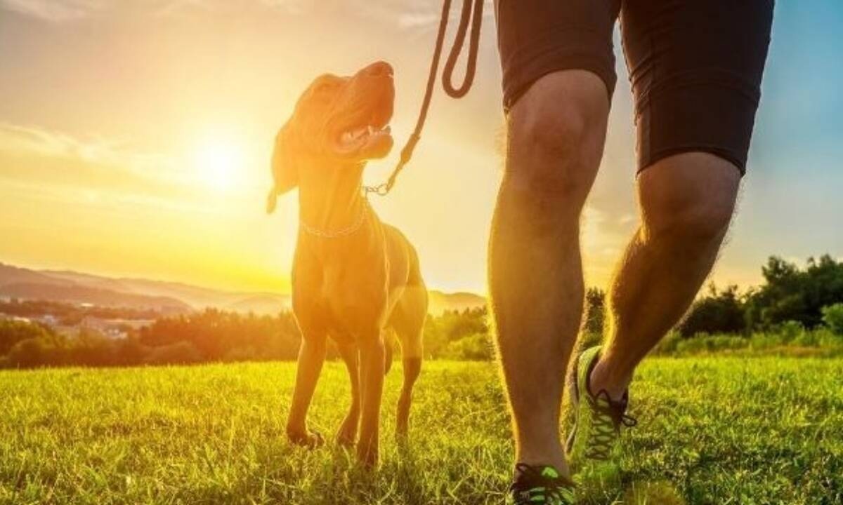 Σήμερα 26/08: Άσε για αύριο ό,τι μίζερο έχεις να κάνεις σήμερα