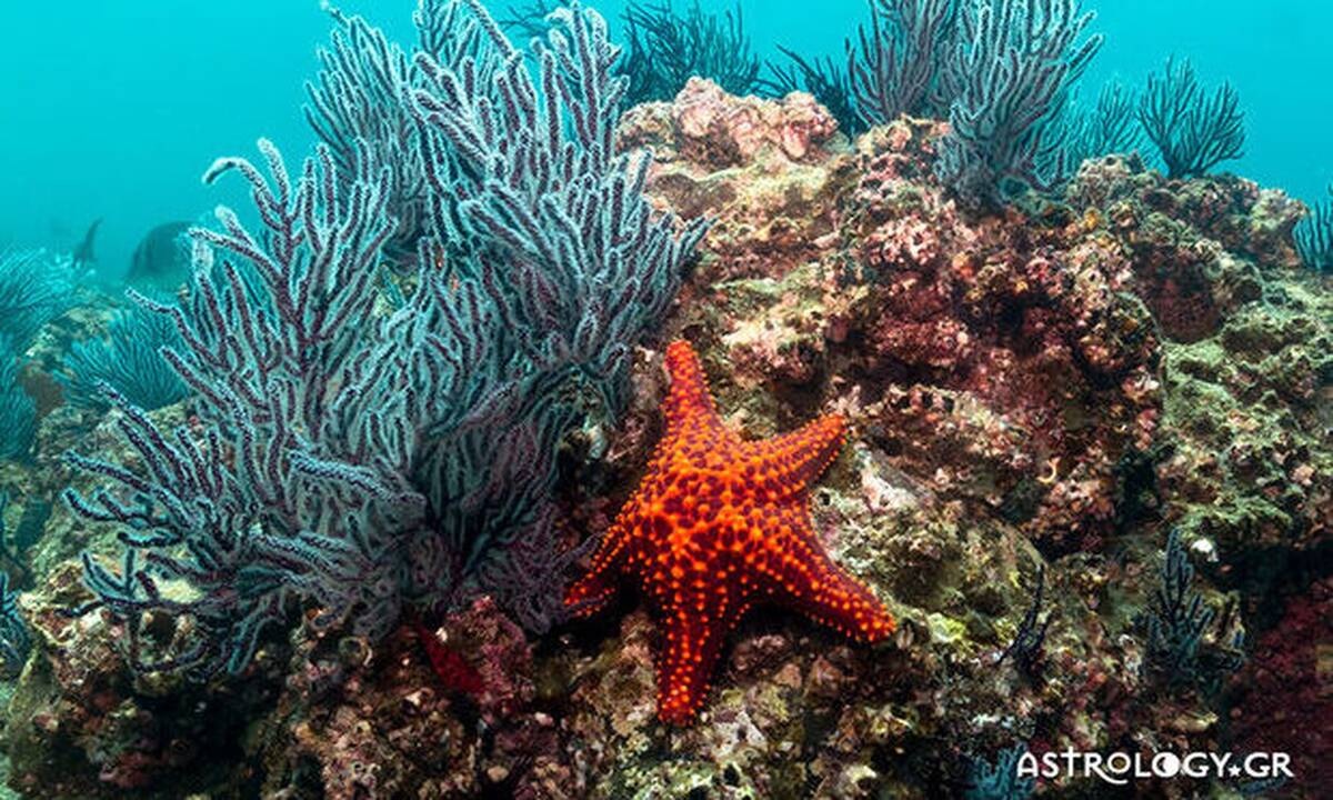 Διάβασε ΔΩΡΕΑΝ την προσωπική σου πρόβλεψη, για σήμερα 25/08/2020