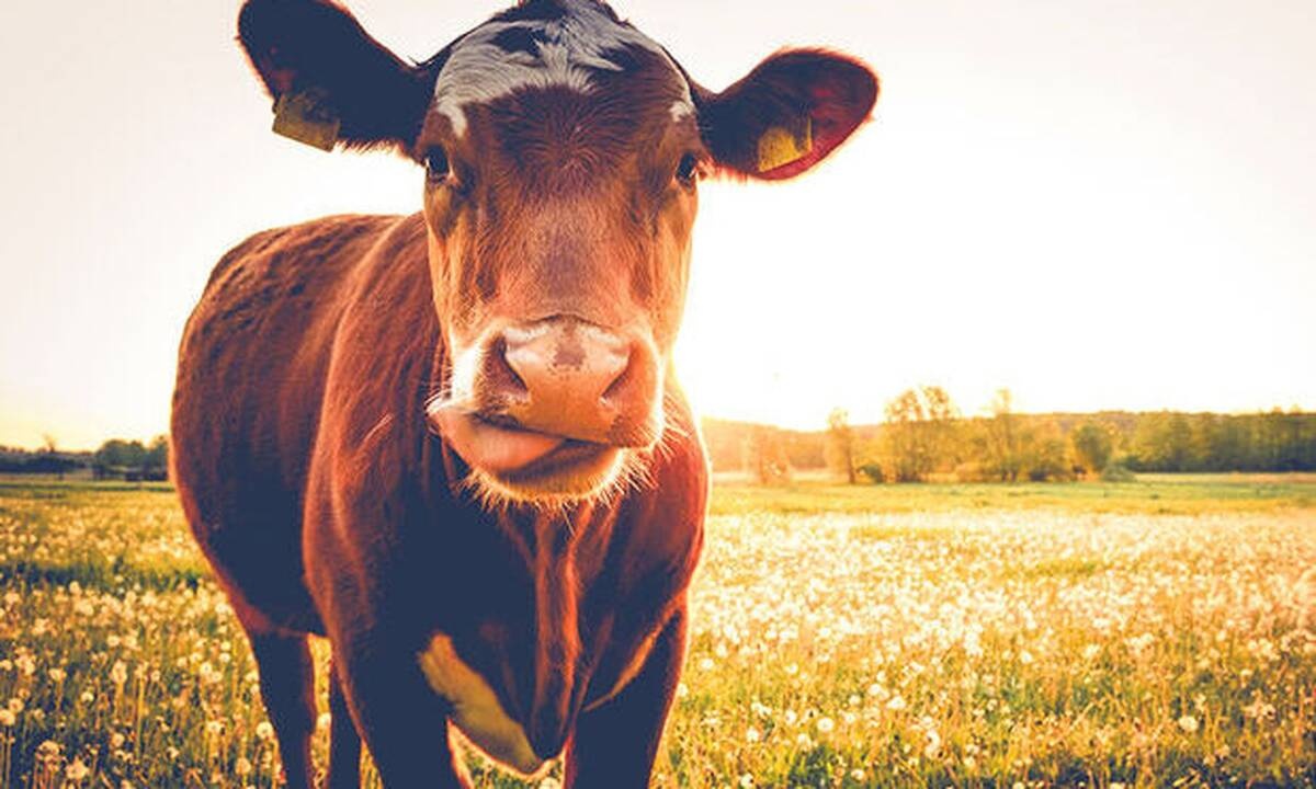 Διάβασε ΔΩΡΕΑΝ την προσωπική σου πρόβλεψη, για σήμερα 28/08/2020
