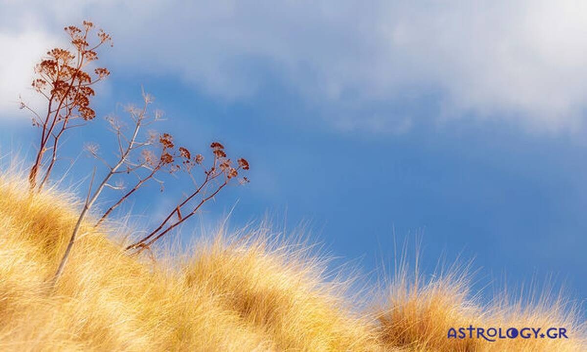 Ημερήσιες Προβλέψεις για όλα τα Ζώδια 01/09