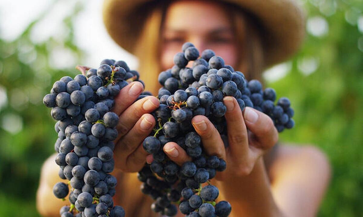 Ημερήσιες Προβλέψεις για όλα τα Ζώδια 03/09