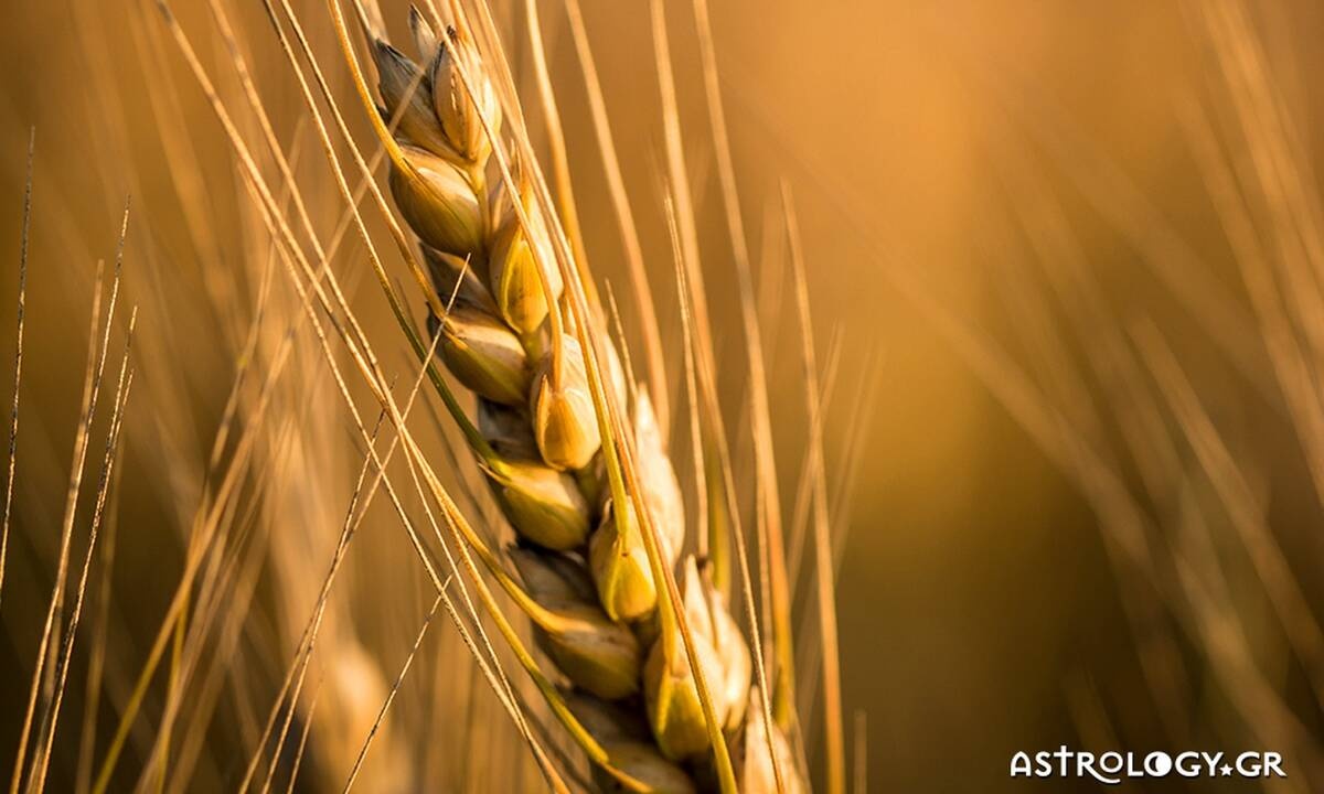 Διάβασε ΔΩΡΕΑΝ την προσωπική σου πρόβλεψη, για σήμερα 02/09/2020