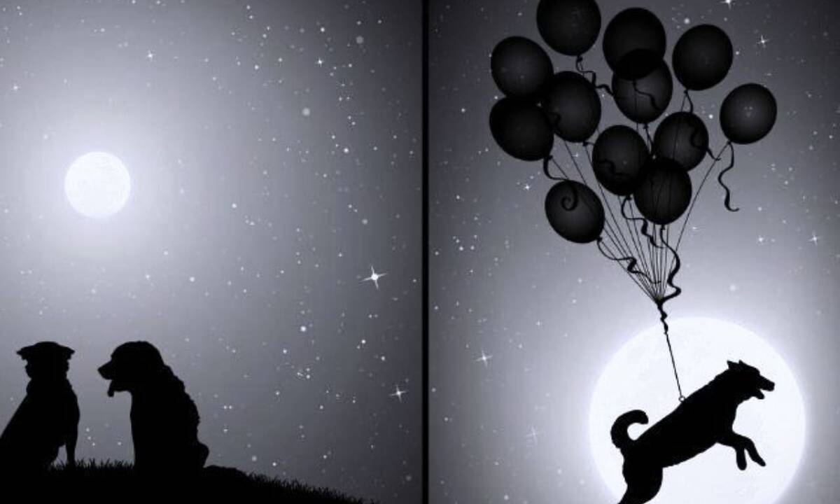 Τα 4 ζώδια που παθαίνουν... μετάλλαξη, όταν ερωτεύονται!