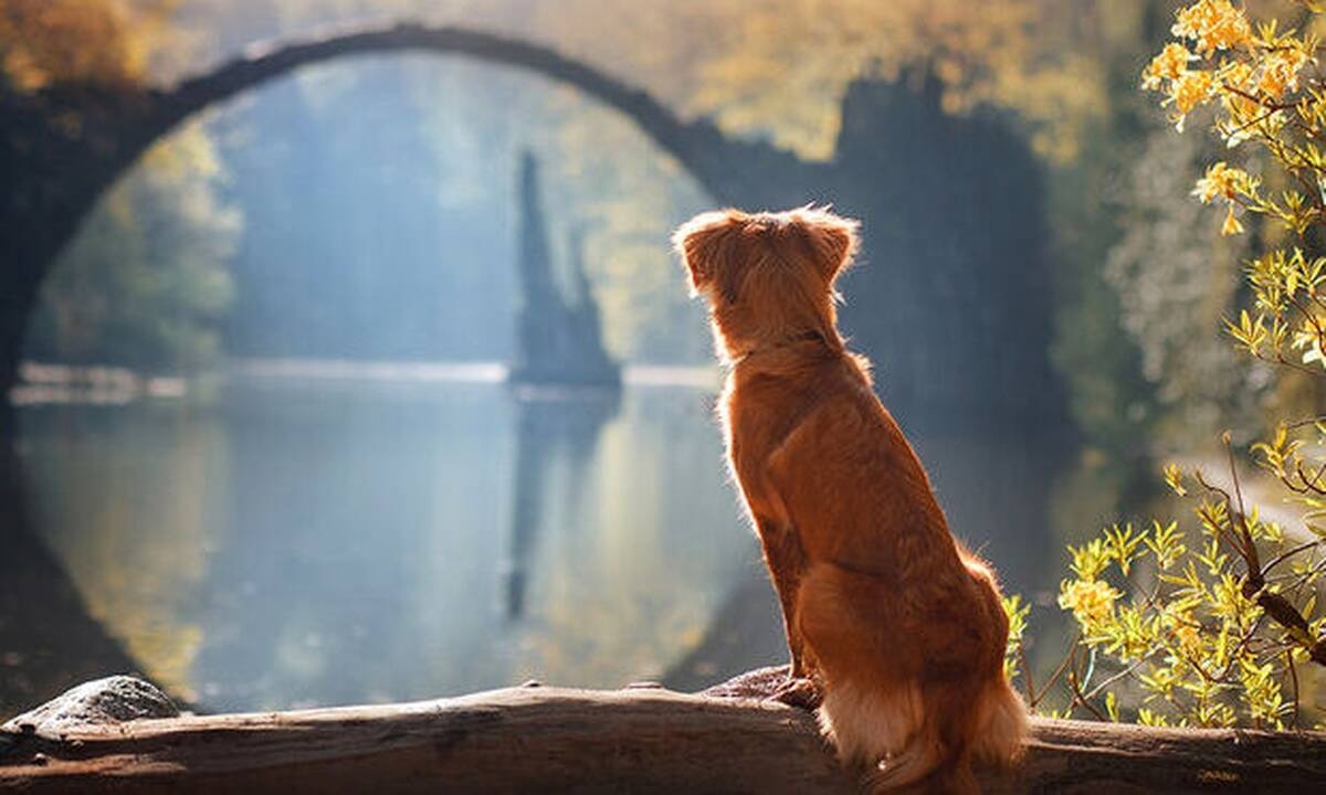 Διάβασε ΔΩΡΕΑΝ την προσωπική σου πρόβλεψη, για σήμερα 03/09/2020