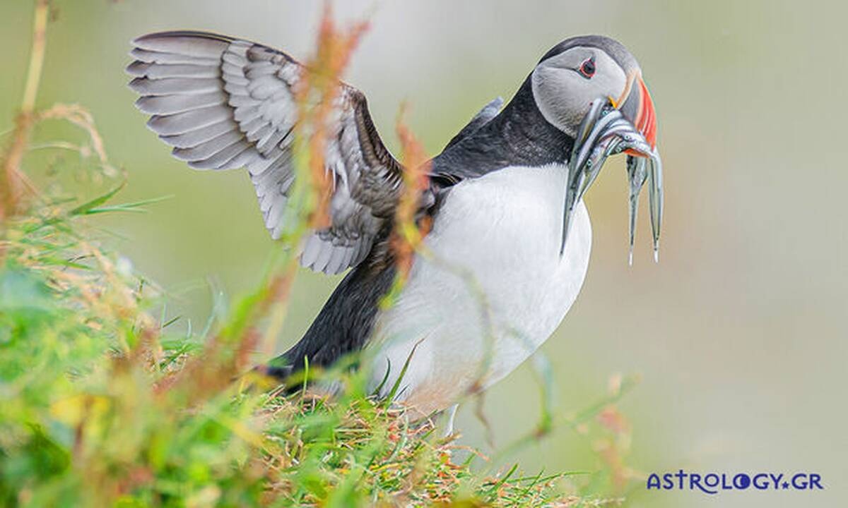 Διάβασε ΔΩΡΕΑΝ την προσωπική σου πρόβλεψη, για σήμερα 05/09/2020
