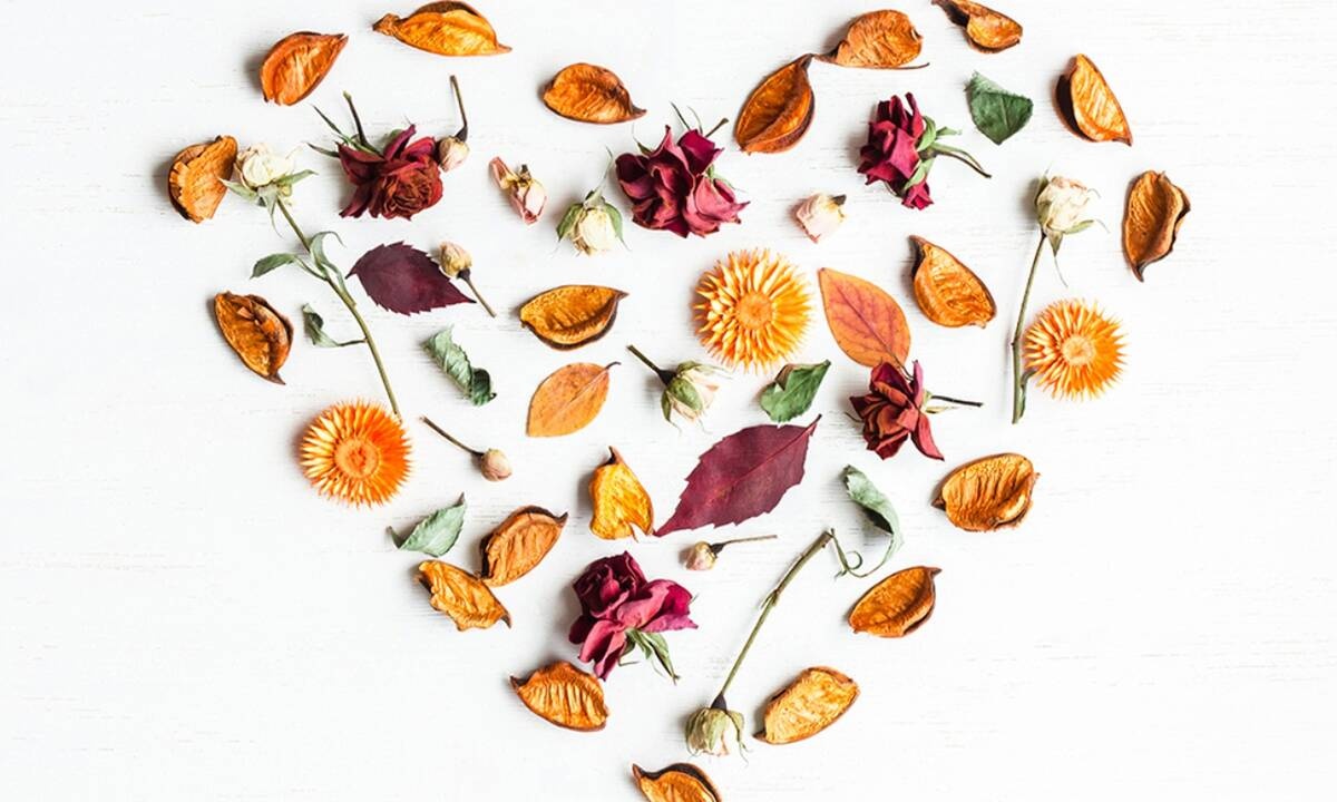 Προβλέψεις για τα αισθηματικά του ζωδίου σου, σήμερα 07/09