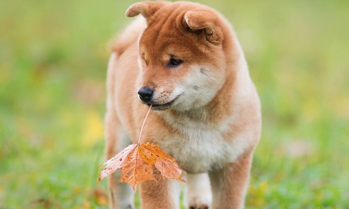 Διάβασε ΔΩΡΕΑΝ την προσωπική σου πρόβλεψη, για σήμερα 09/09/2020