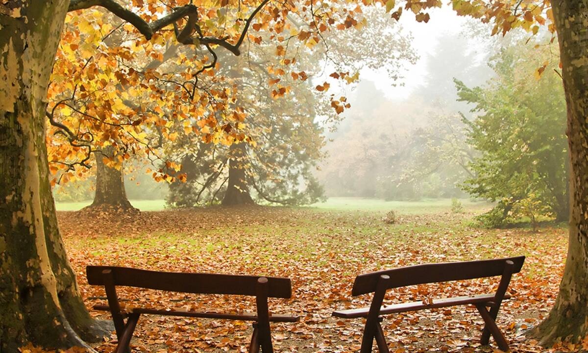Ημερήσιες Προβλέψεις για όλα τα Ζώδια 11/09