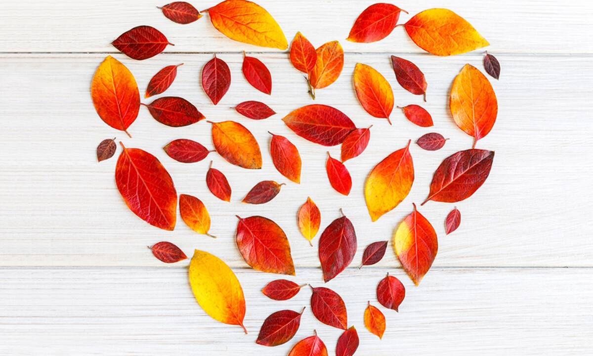 Εβδομαδιαίες Ερωτικές Προβλέψεις 14/09-20/09: Όποιος δεν έχει μυαλό, έχει μπλεξίματα