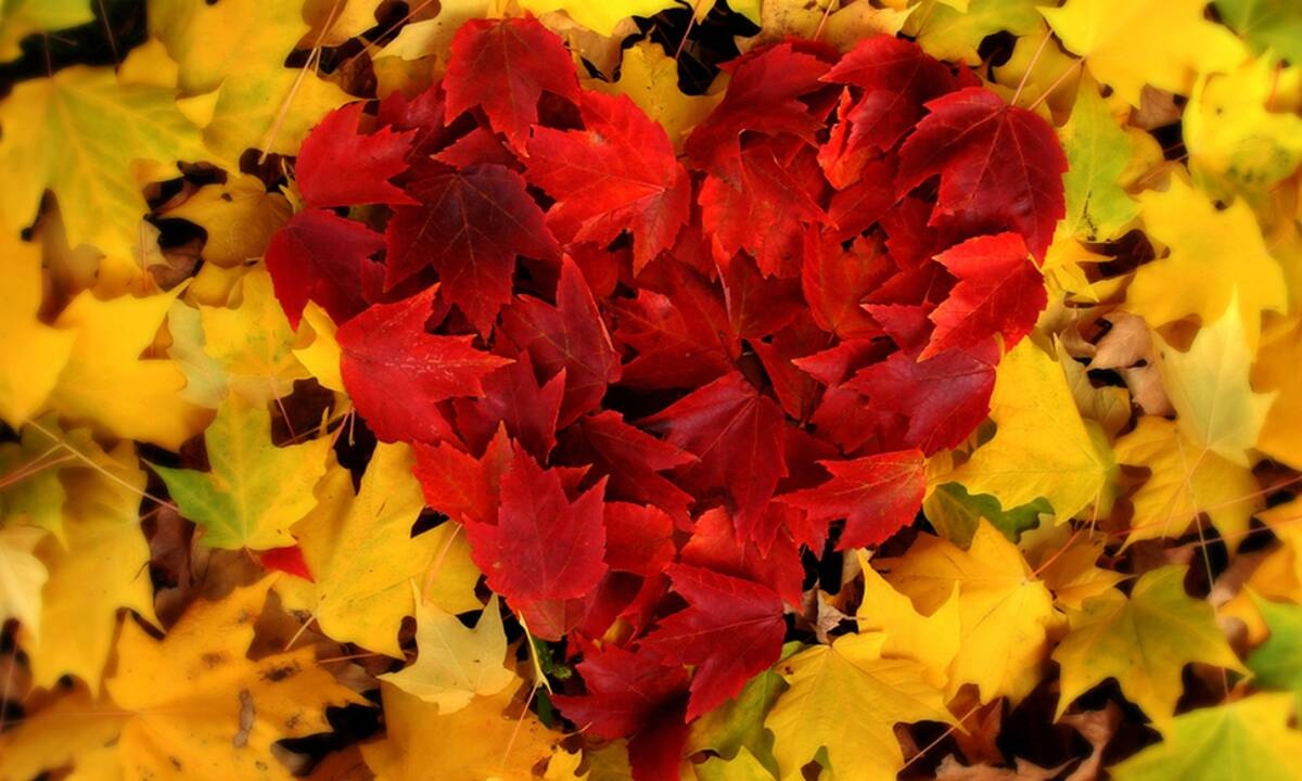 Προβλέψεις για τα αισθηματικά του ζωδίου σου, σήμερα 13/09