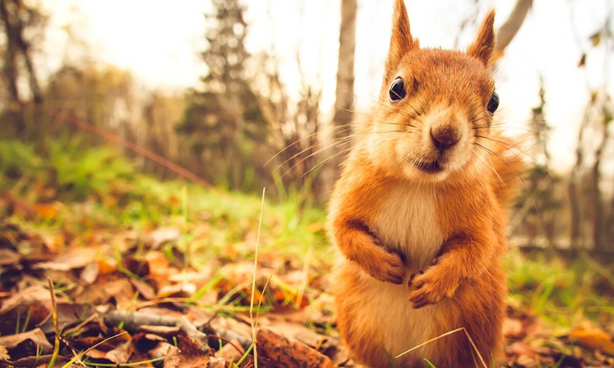 Διάβασε ΔΩΡΕΑΝ την προσωπική σου πρόβλεψη, για σήμερα 14/09/2020