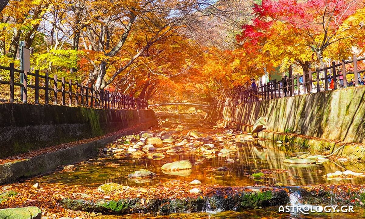 Διάβασε ΔΩΡΕΑΝ την προσωπική σου πρόβλεψη, για σήμερα 15/09/2020