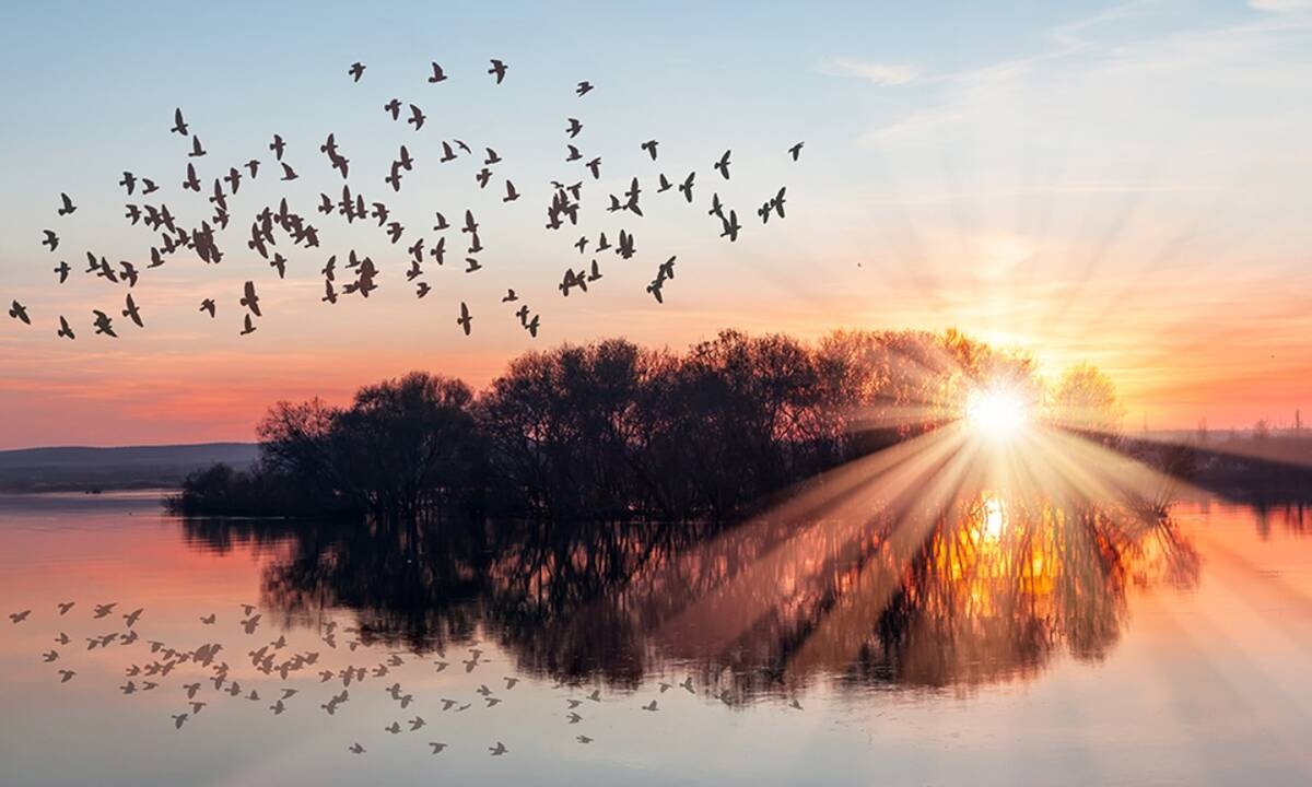 Διάβασε ΔΩΡΕΑΝ την προσωπική σου πρόβλεψη, για σήμερα 17/09/2020
