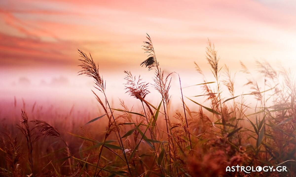 Διάβασε ΔΩΡΕΑΝ την προσωπική σου πρόβλεψη, για σήμερα 25/09/2020