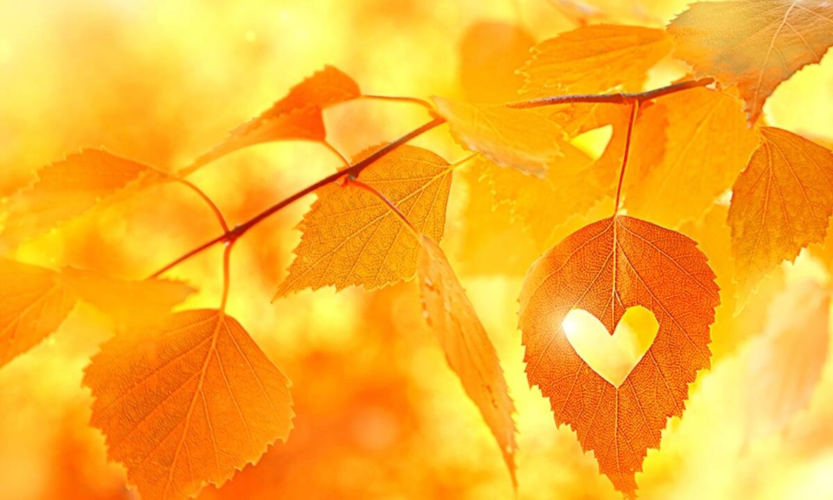 Προβλέψεις για τα αισθηματικά του ζωδίου σου, σήμερα 20/09