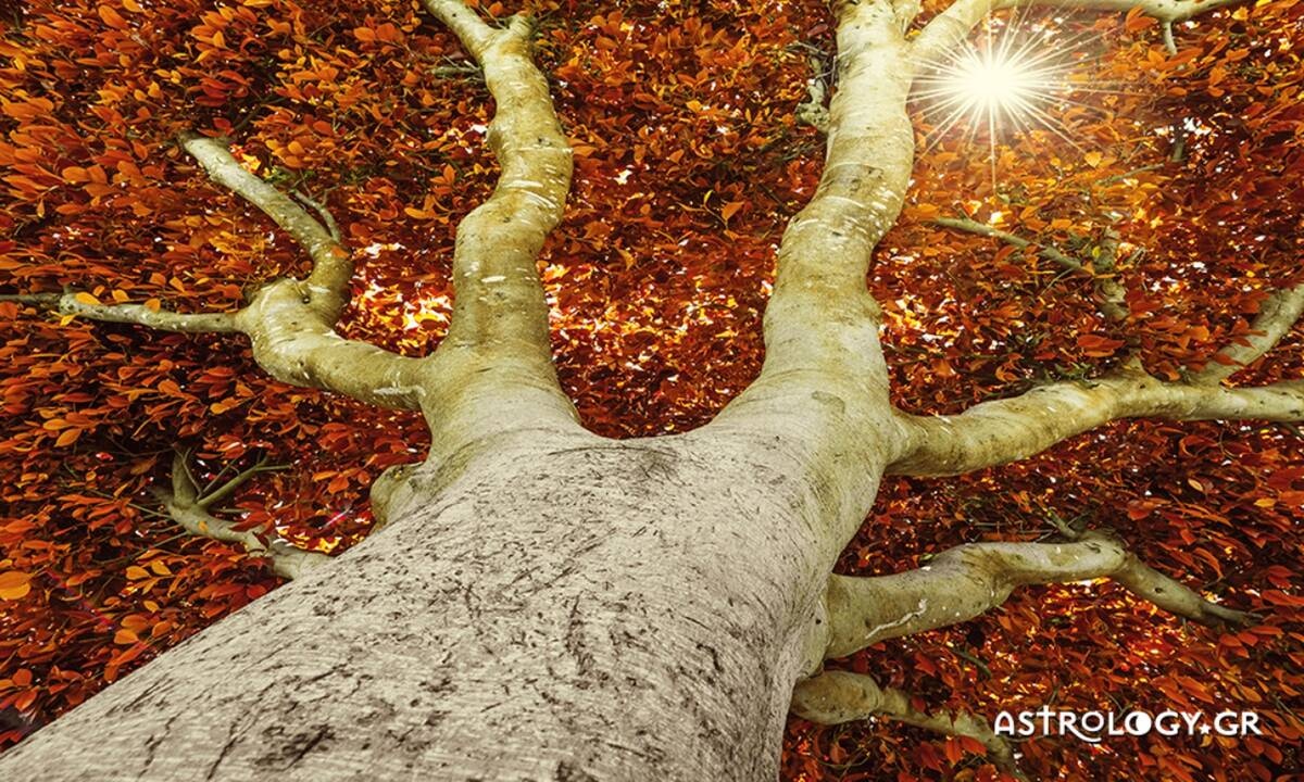 Ημερήσιες Προβλέψεις για όλα τα Ζώδια 22/09