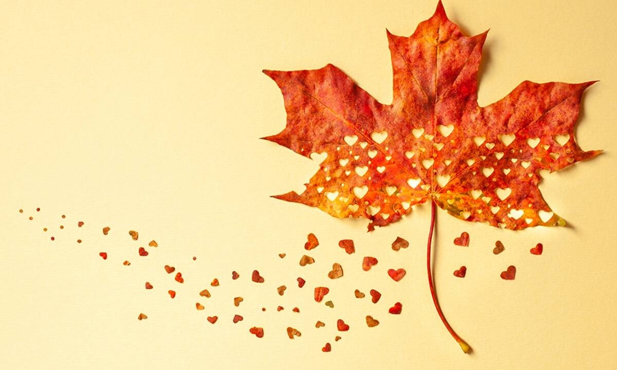 Προβλέψεις για τα αισθηματικά του ζωδίου σου, σήμερα 23/09