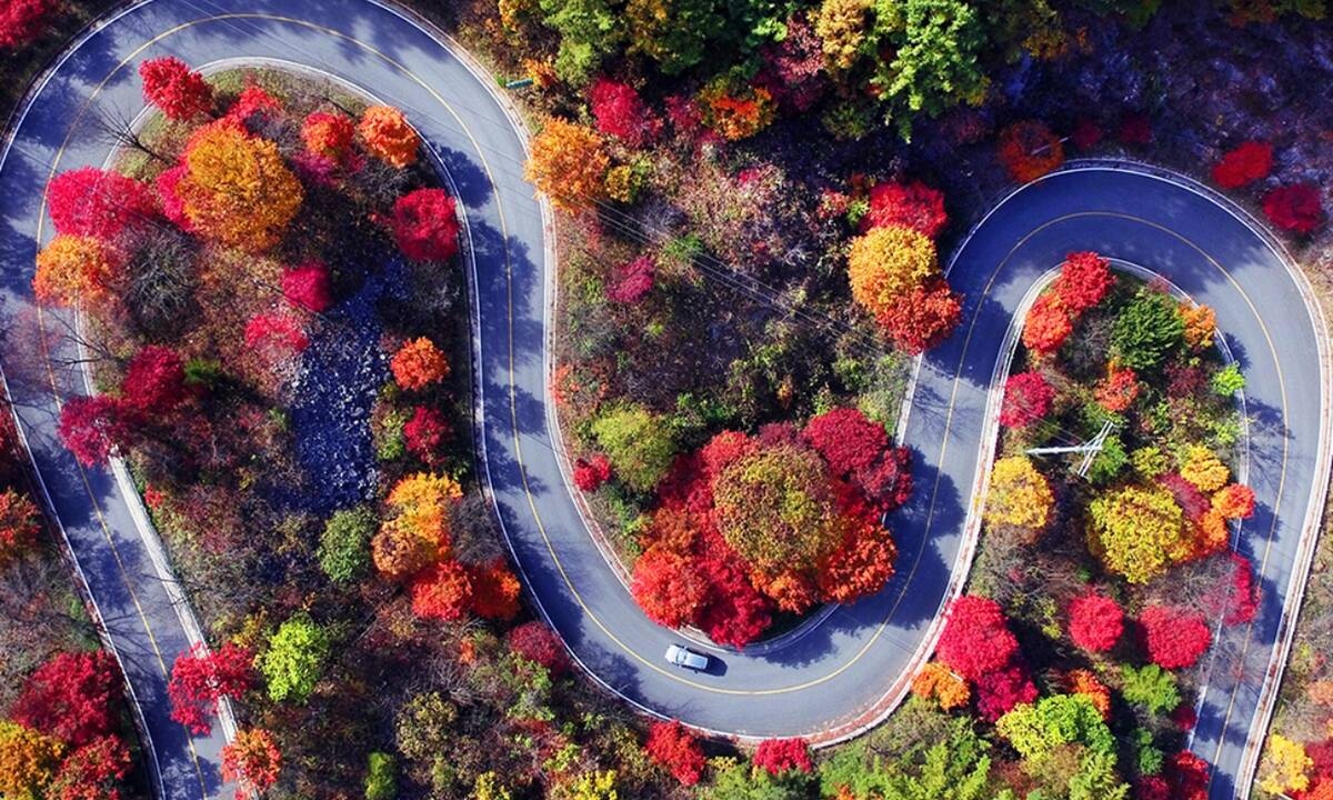 Ημερήσιες Προβλέψεις για όλα τα Ζώδια 24/09