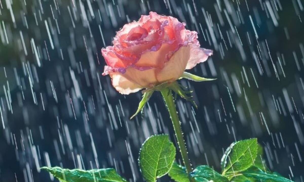 Σήμερα 25/09: Είναι η μέρα βροχερή...