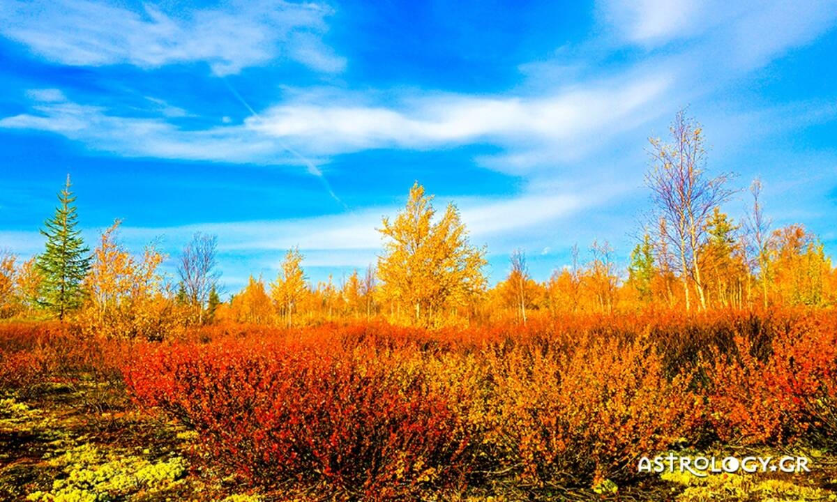 Ημερήσιες Προβλέψεις για όλα τα Ζώδια 26/09