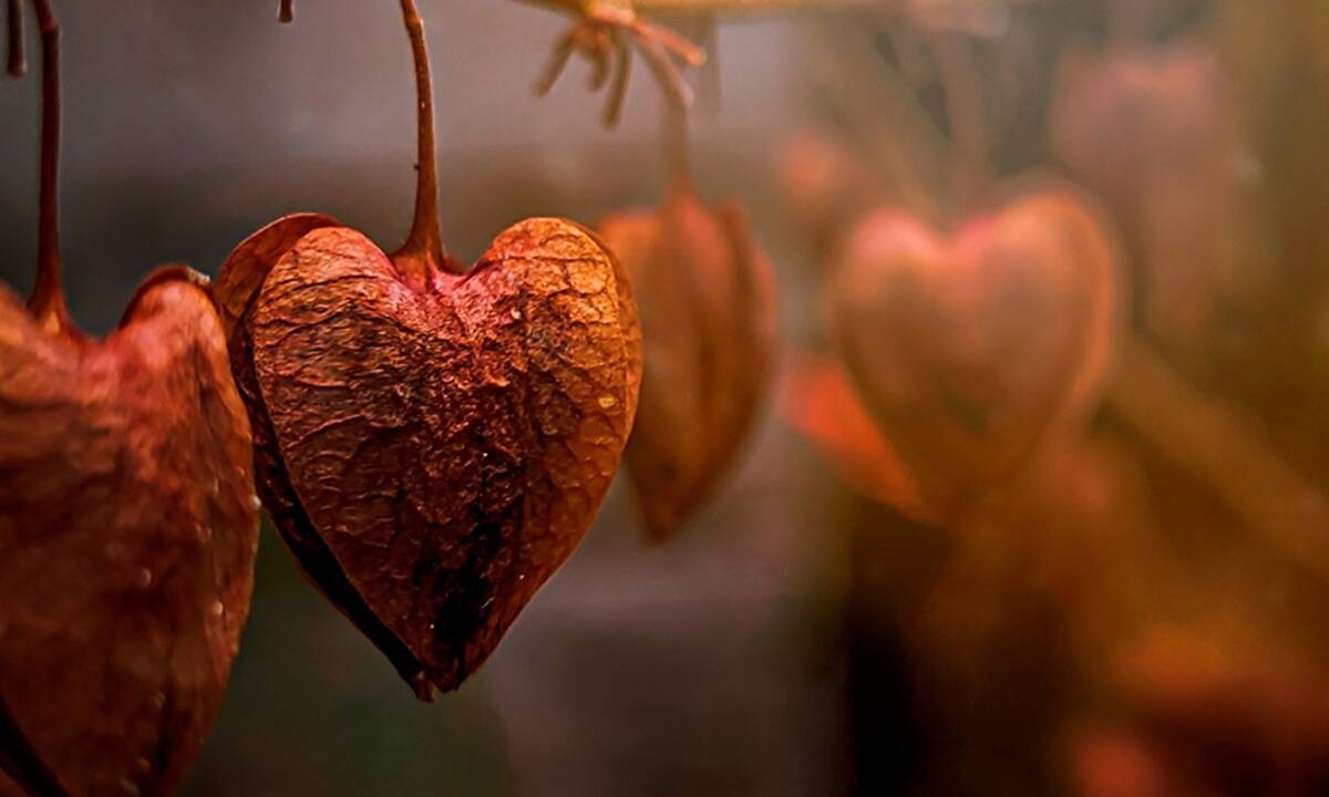 Προβλέψεις για τα αισθηματικά του ζωδίου σου, σήμερα 27/09