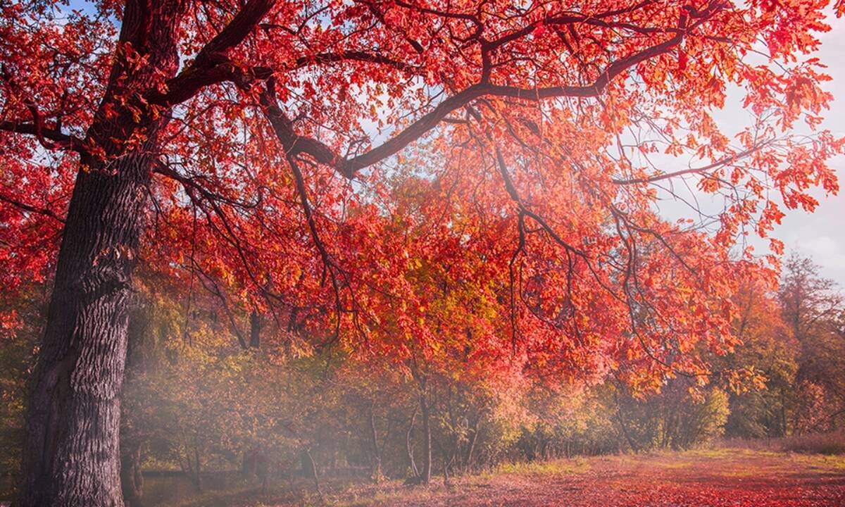 Τι λένε τα άστρα για τον Οκτώβριο 2020;