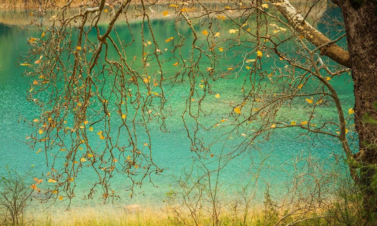 Ημερήσιες Προβλέψεις για όλα τα Ζώδια 04/10