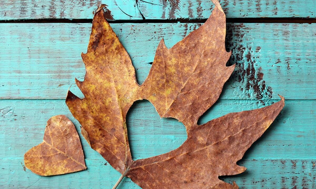Προβλέψεις για τα αισθηματικά του ζωδίου σου, σήμερα 06/10