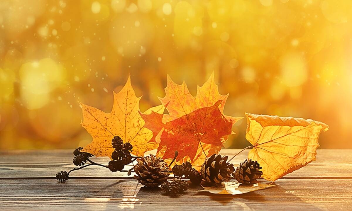 Ημερήσιες Προβλέψεις για όλα τα Ζώδια 10/10