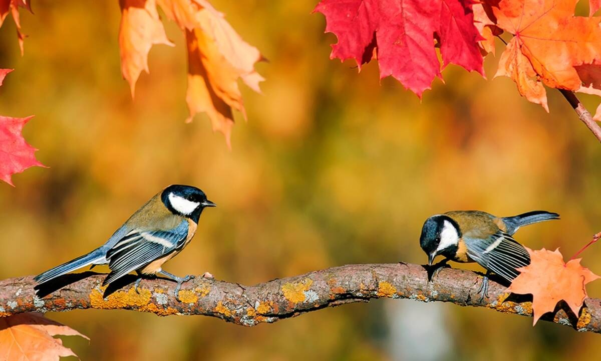Διάβασε ΔΩΡΕΑΝ την προσωπική σου πρόβλεψη, για σήμερα 08/10/2020