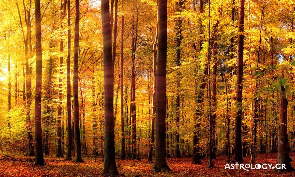 Διάβασε ΔΩΡΕΑΝ την προσωπική σου πρόβλεψη, για σήμερα 10/10/2020