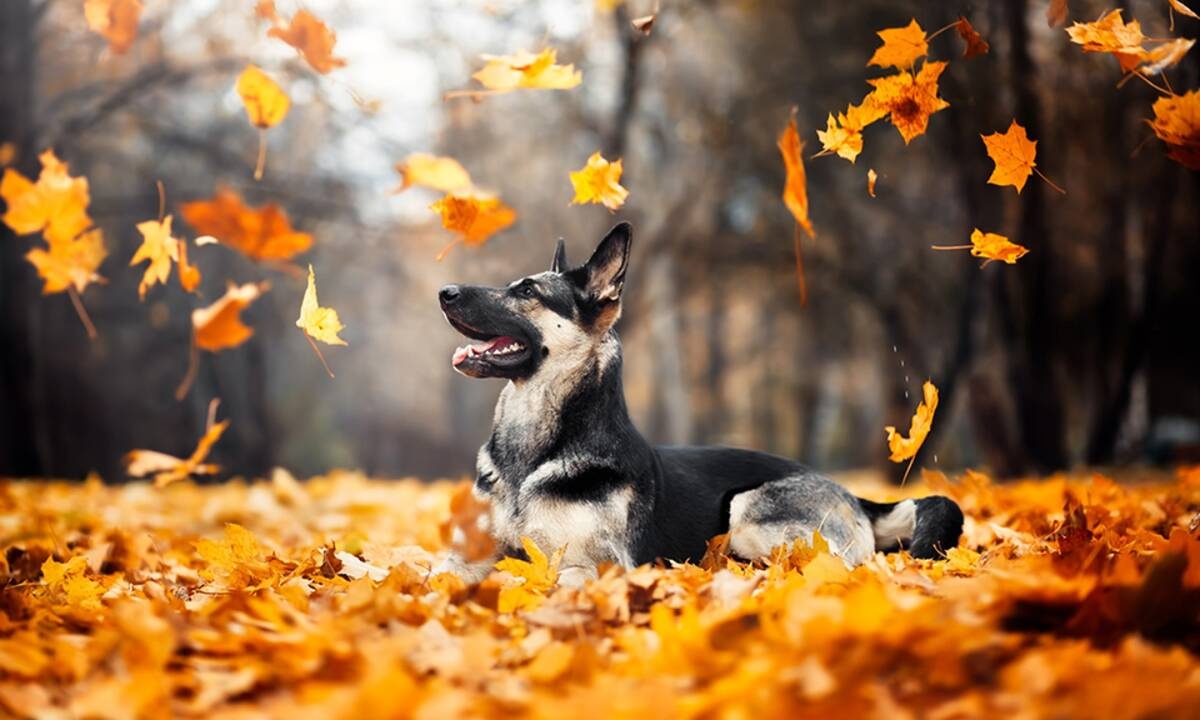 Διάβασε ΔΩΡΕΑΝ την προσωπική σου πρόβλεψη, για σήμερα 13/10/2020