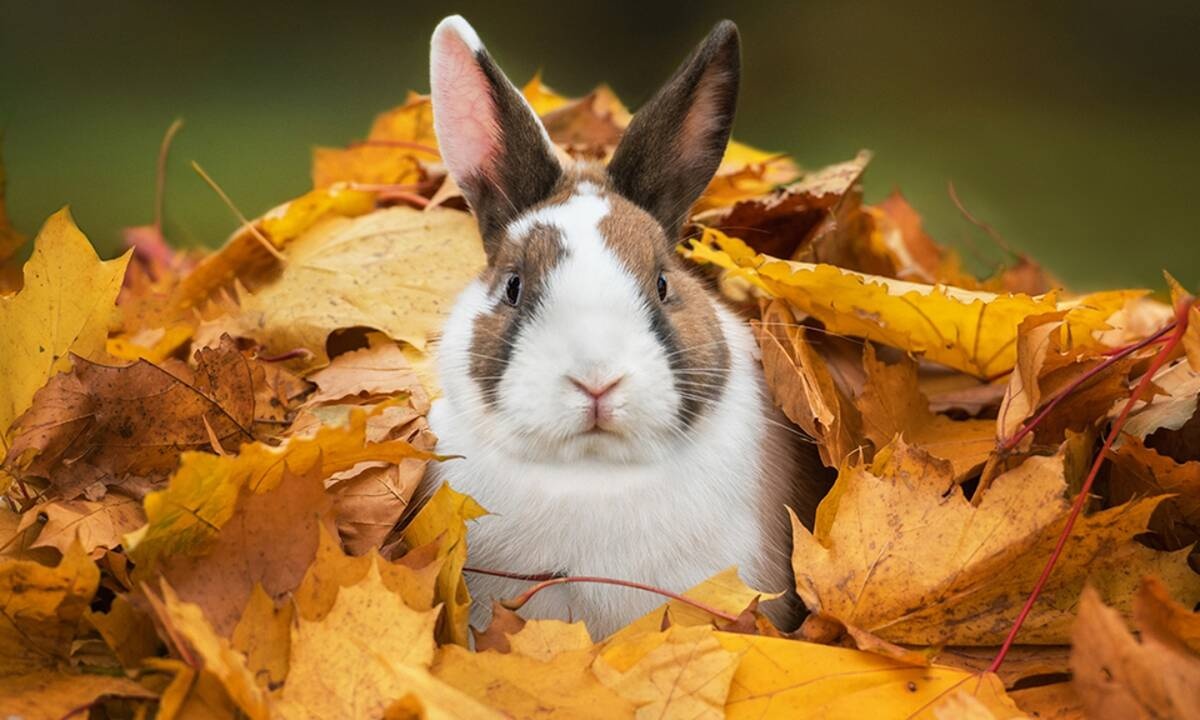 Διάβασε ΔΩΡΕΑΝ την προσωπική σου πρόβλεψη, για σήμερα 19/10/2020