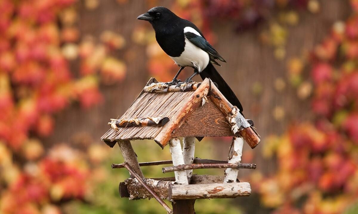Διάβασε ΔΩΡΕΑΝ την προσωπική σου πρόβλεψη, για σήμερα 22/10/2020
