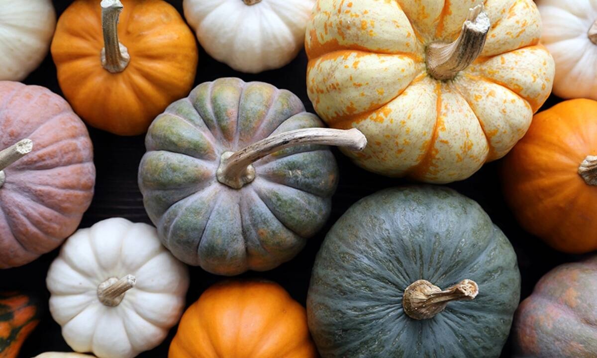 Διάβασε ΔΩΡΕΑΝ την προσωπική σου πρόβλεψη, για σήμερα 23/10/2020