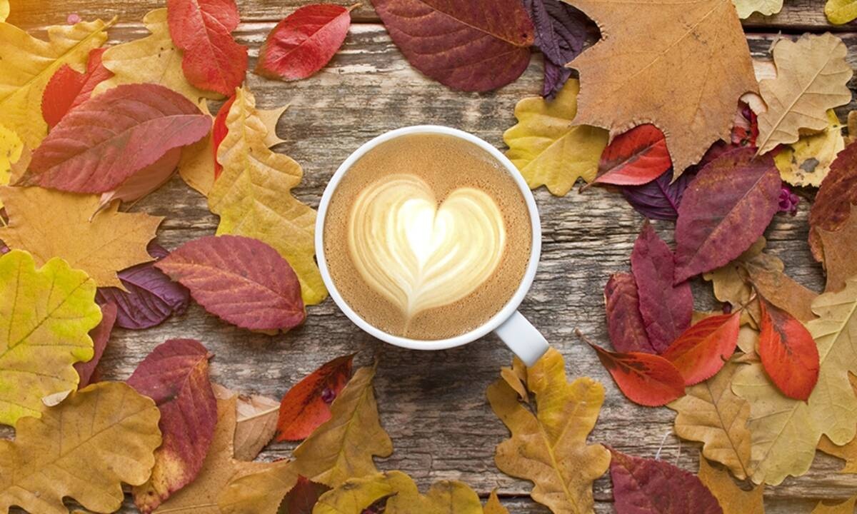 Προβλέψεις για τα αισθηματικά του ζωδίου σου, σήμερα 31/10