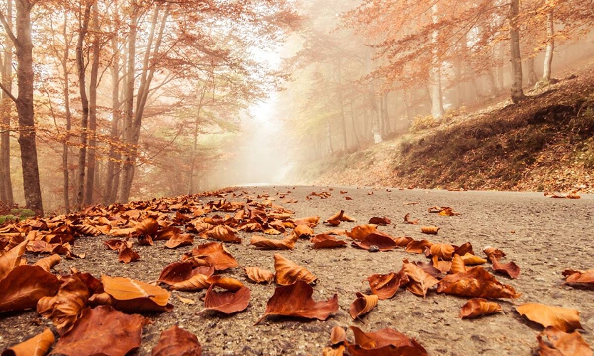 Διάβασε ΔΩΡΕΑΝ την προσωπική σου πρόβλεψη, για σήμερα 01/11/2020