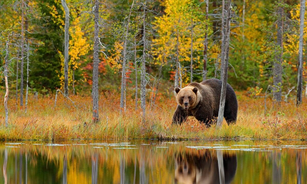 Διάβασε ΔΩΡΕΑΝ την προσωπική σου πρόβλεψη, για σήμερα 02/11/2020