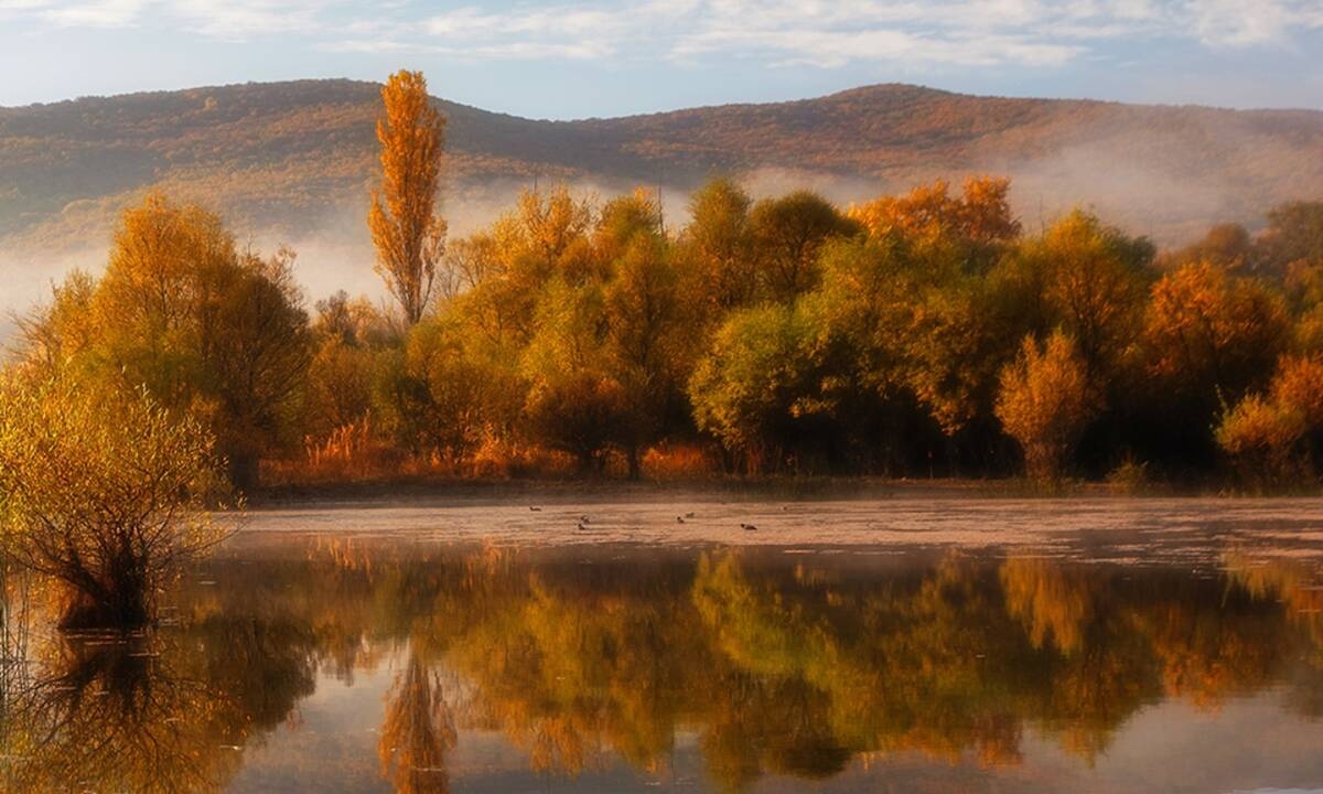 Διάβασε ΔΩΡΕΑΝ την προσωπική σου πρόβλεψη, για σήμερα 05/11/2020