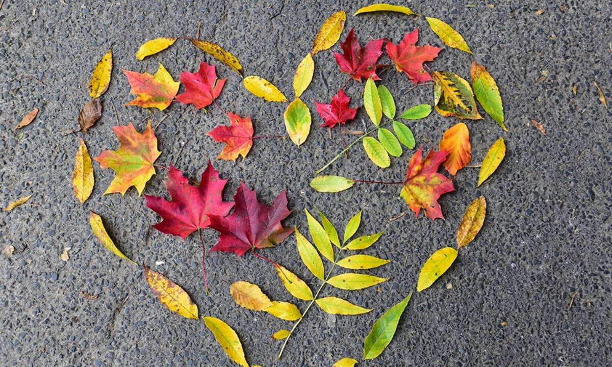 Προβλέψεις για τα αισθηματικά του ζωδίου σου, σήμερα 03/11