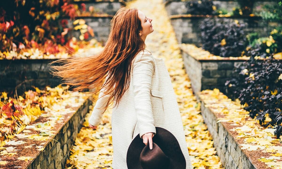 Ημερήσιες Προβλέψεις για όλα τα Ζώδια 06/11