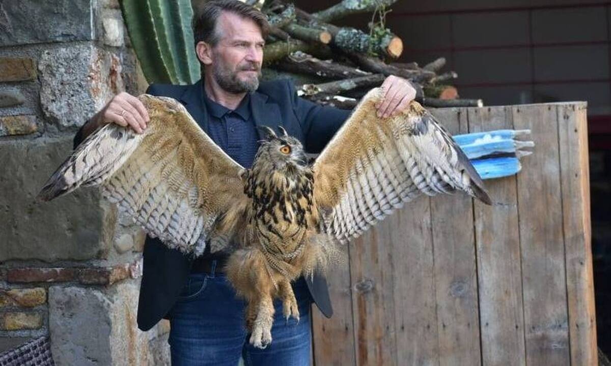 Αγρίνιο: Διασώθηκε η μεγαλύτερη κουκουβάγια του κόσμου (pics)