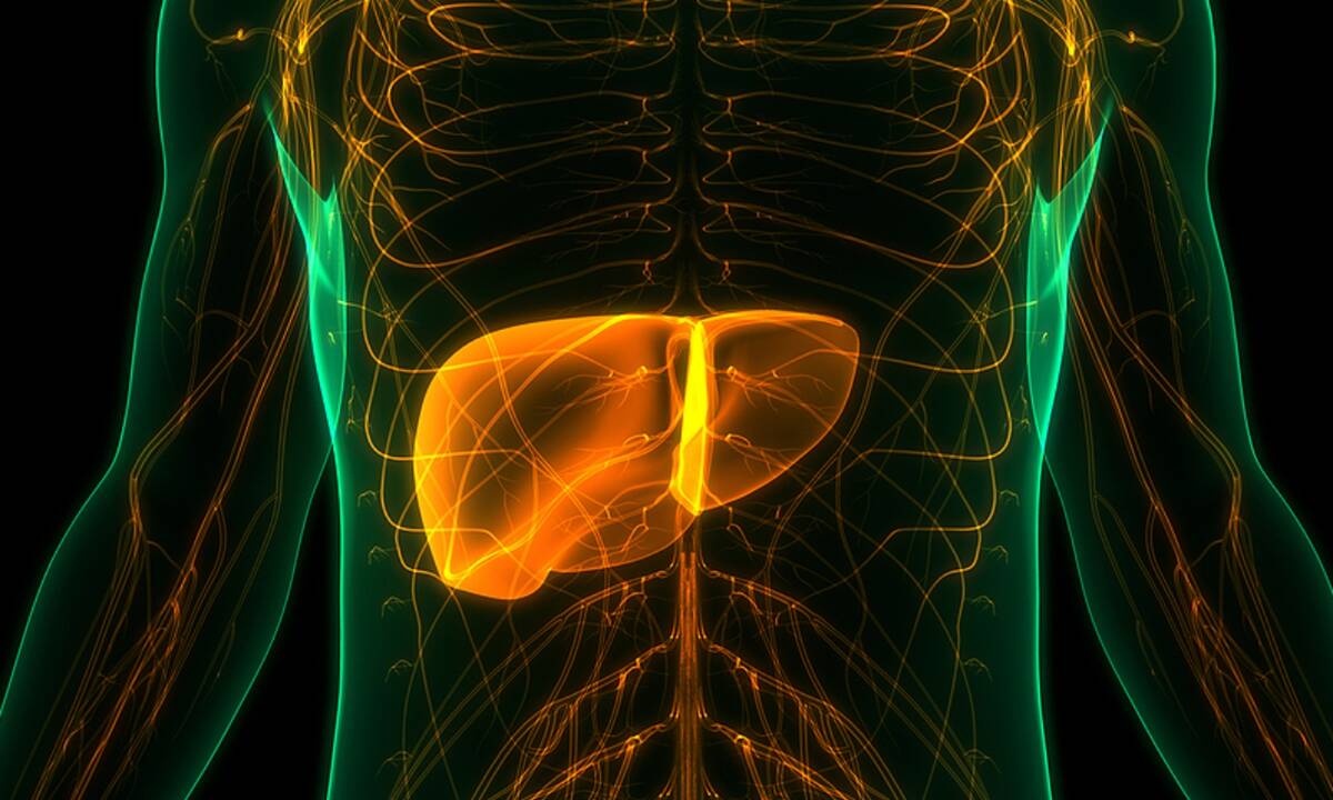 Καρκίνος ήπατος: Τι πρέπει να προσέχετε στη διατροφή για να μειώσετε τον κίνδυνο
