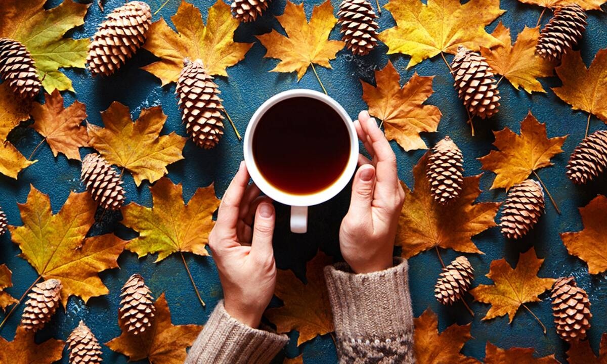 Ημερήσιες Προβλέψεις για όλα τα Ζώδια 09/11