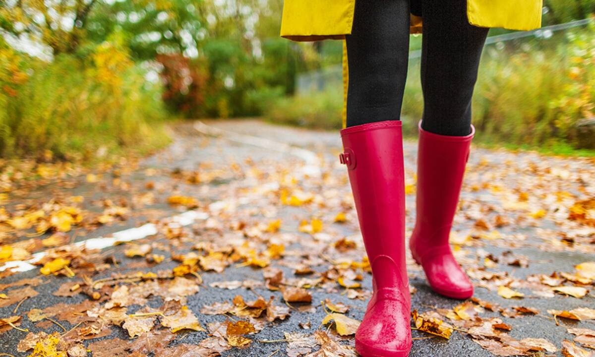 Ημερήσιες Προβλέψεις για όλα τα Ζώδια 10/11