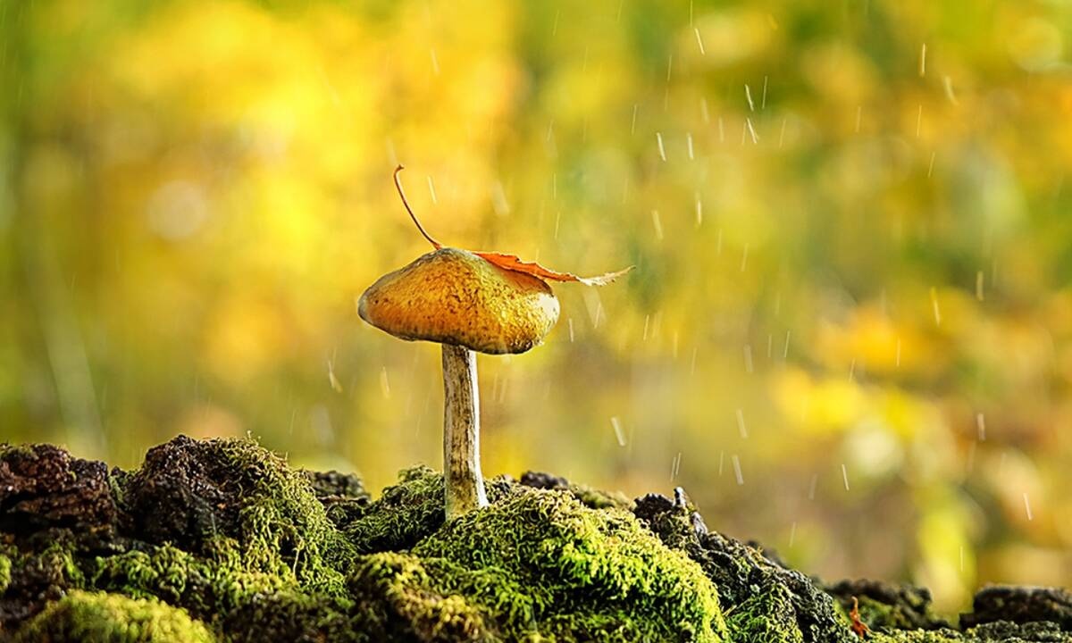 Διάβασε ΔΩΡΕΑΝ την προσωπική σου πρόβλεψη, για σήμερα 11/11/2020